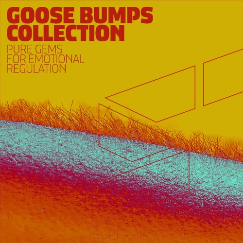 VA - Goose Bumps Collection, Vol. 8 [SUPER446]